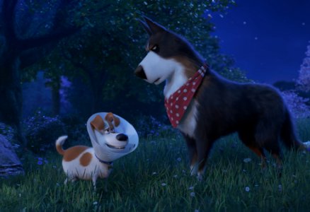 movie image