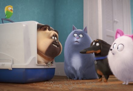 movie image