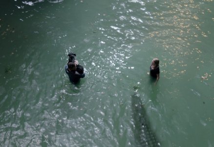 movie image
